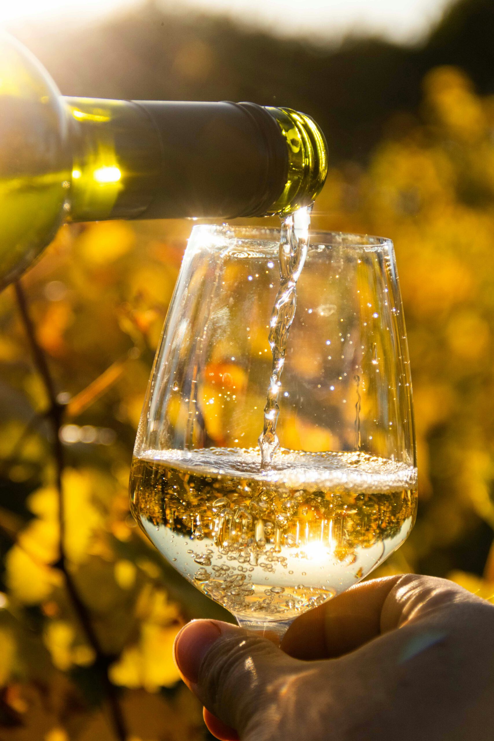 vinarija-perak-oIEHykdZnN0-unsplash