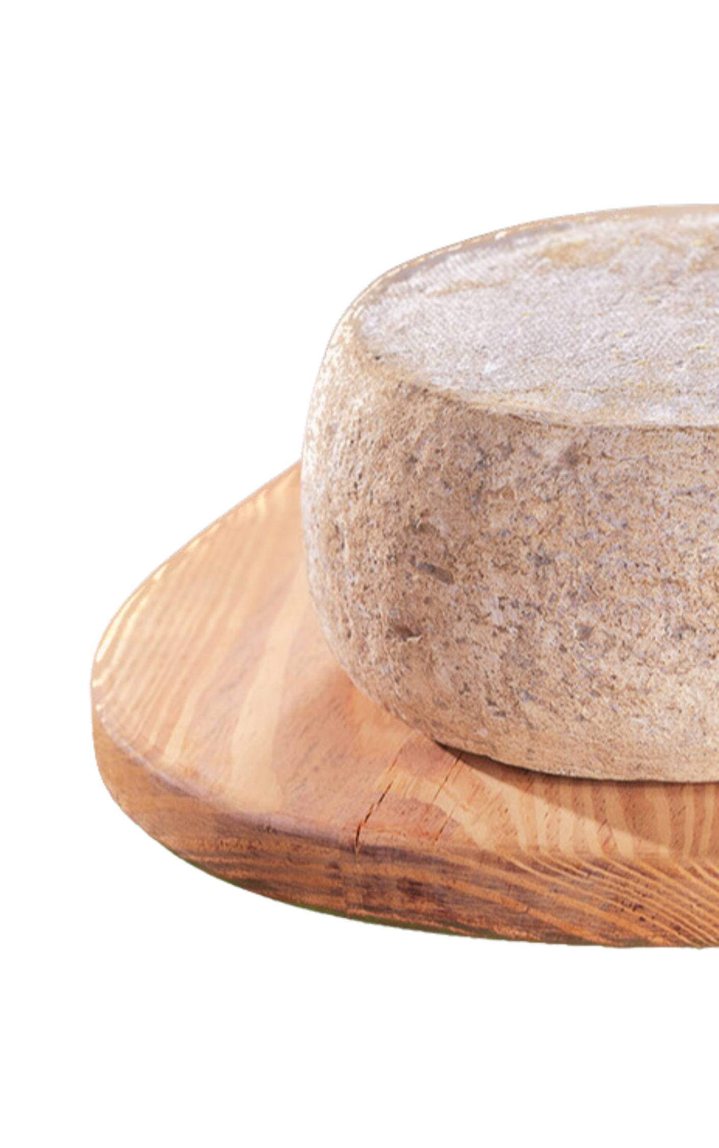 TumaCibrario_mezza